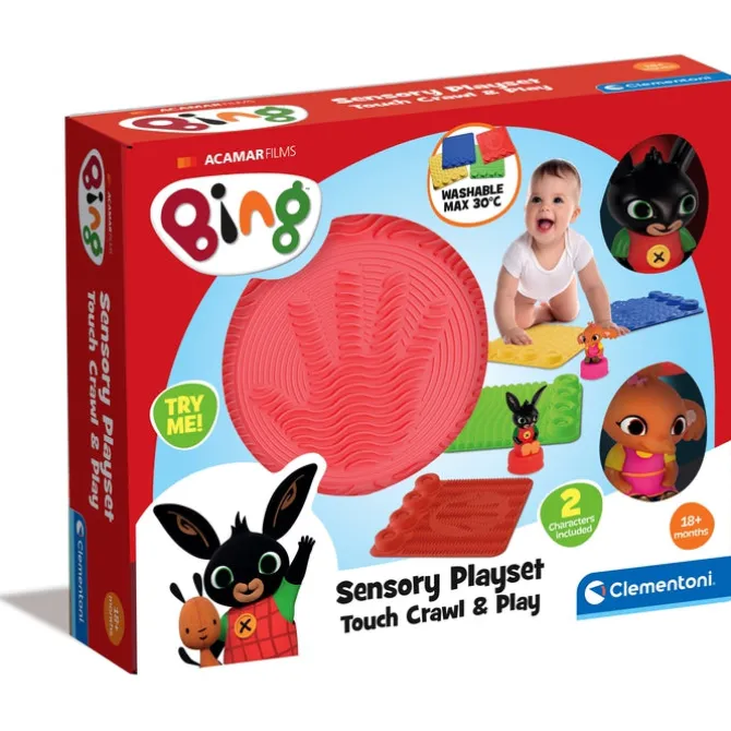 Sensory Play Set Bing!
