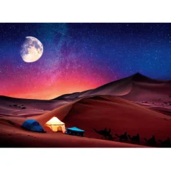 Starry Night Dream - 500 pezzi