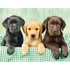 Three Labs - 1000 pezzi