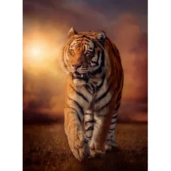 Tiger - 1000 pezzi