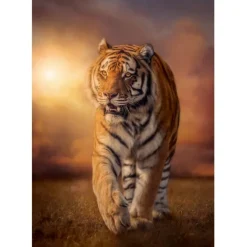 Tiger - 1500 pezzi