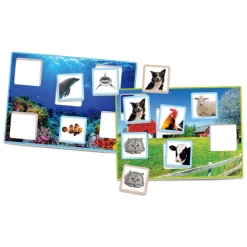 Tombola degli animali