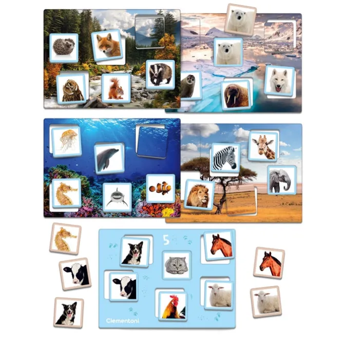 Tombola degli animali