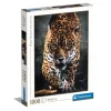 Walk of the Jaguar - 1000 pezzi