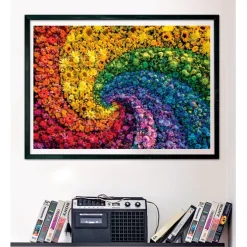 Whirl - 1000 pezzi
