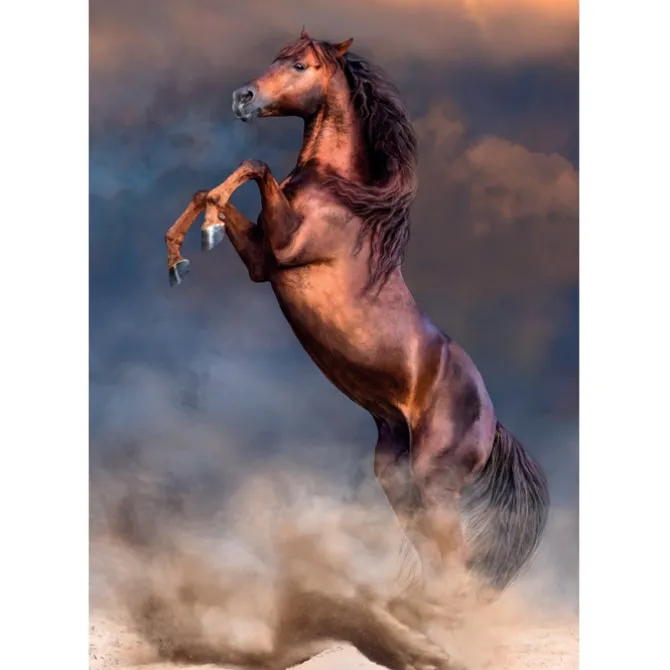 Wild Red Stallion - 500 pezzi